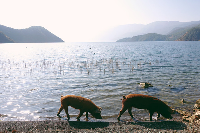 water-landscape-beach-sea-no-person 图片素材