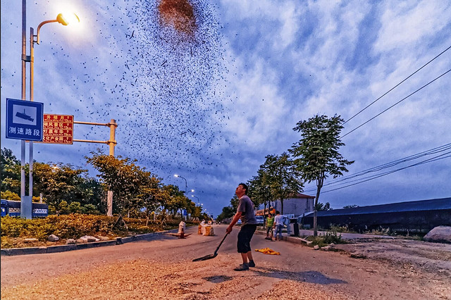 sky-blue-outdoors-people-cloud 图片素材