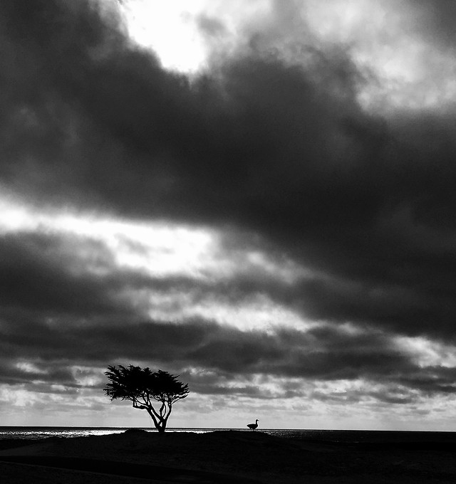 storm-sunset-sky-rain-dawn picture material