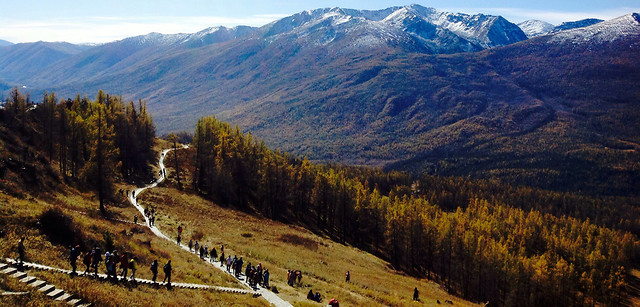 mountain-no-person-landscape-travel-wood picture material