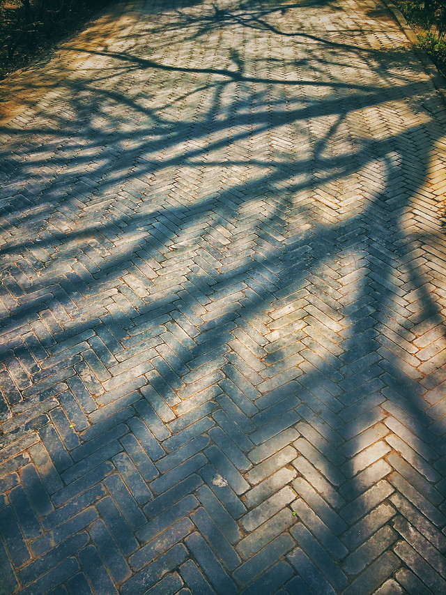 no-person-texture-desktop-abstract-pattern 图片素材