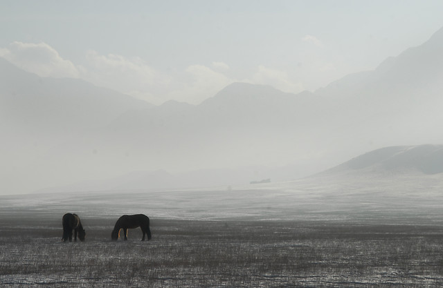 landscape-no-person-fog-mountain-travel picture material