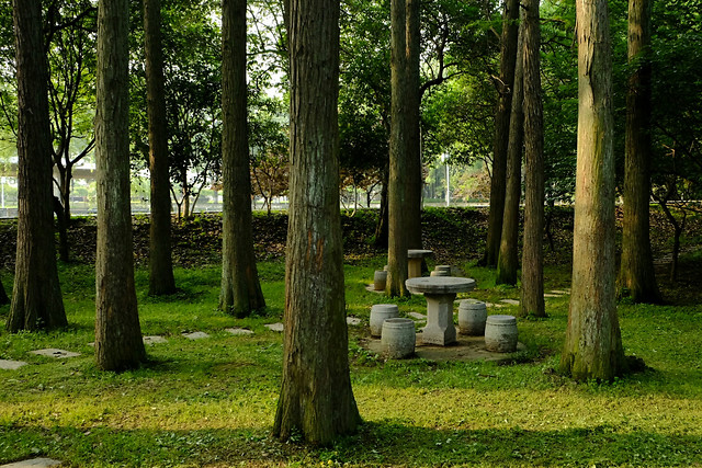 tree-wood-landscape-nature-park 图片素材