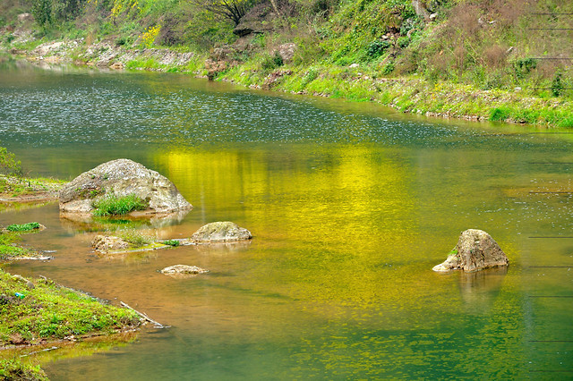 water-no-person-nature-river-summer 图片素材