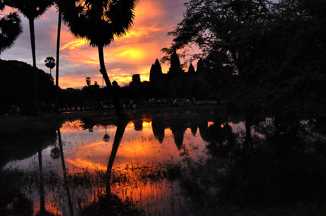 reflection-water-sky-nature-tree 图片素材