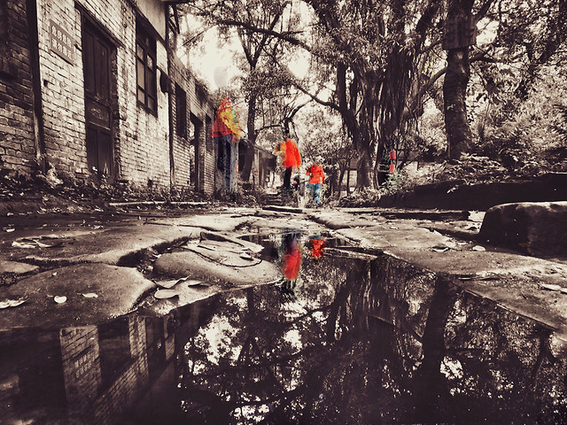 people-water-no-person-winter-tree 图片素材