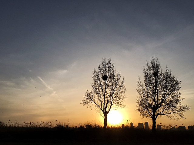 dawn-sunset-no-person-sun-nature 图片素材