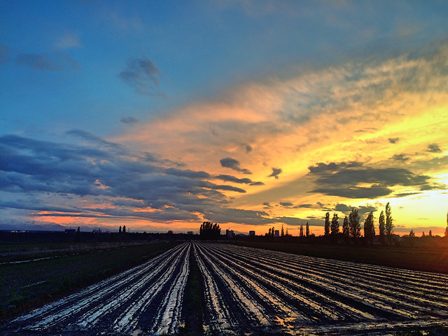sky-dawn-sunset-cloud-field picture material