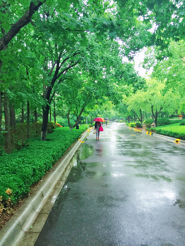 road-guidance-green-landscape-nature 图片素材