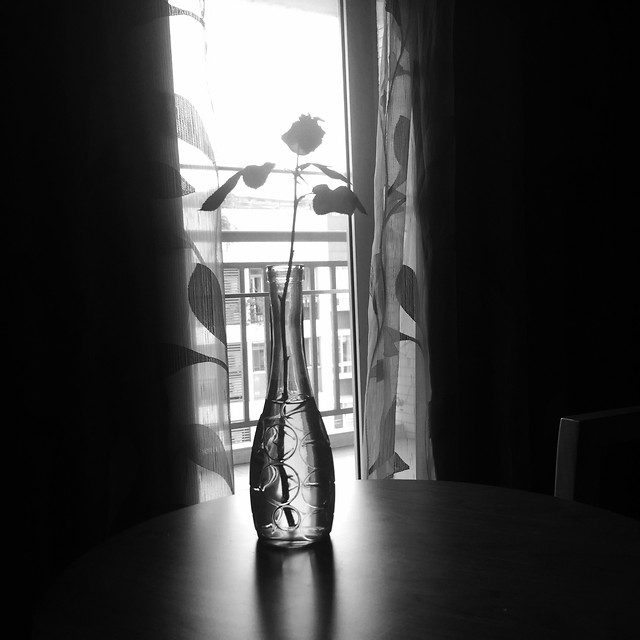 monochrome-light-window-indoors-shadow 图片素材