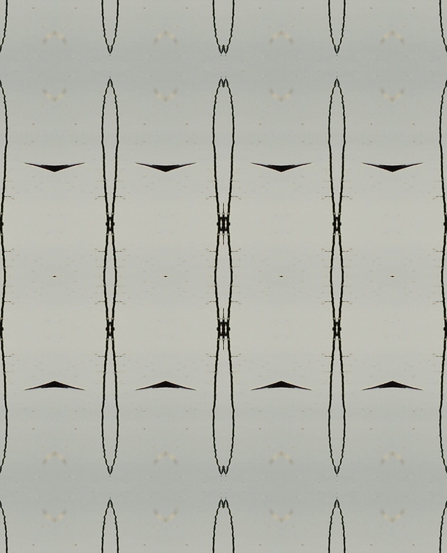 no-person-nature-art-design-pattern picture material