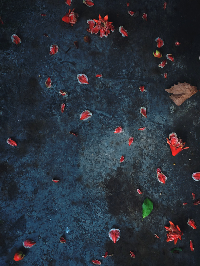 space-pattern-no-person-red-desktop 图片素材