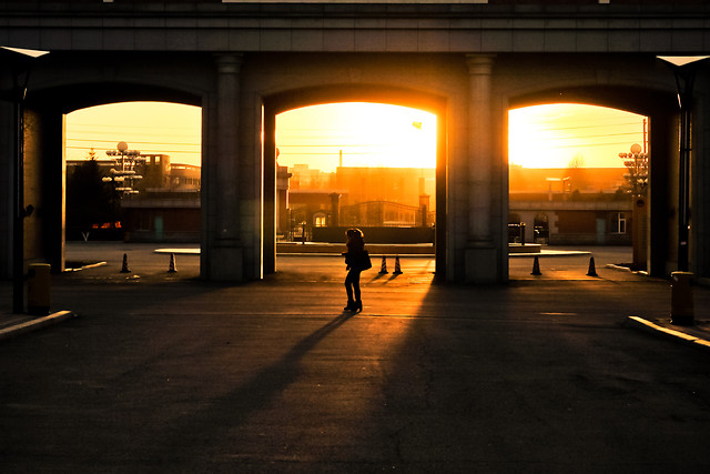 bridge-sunset-architecture-light-city picture material