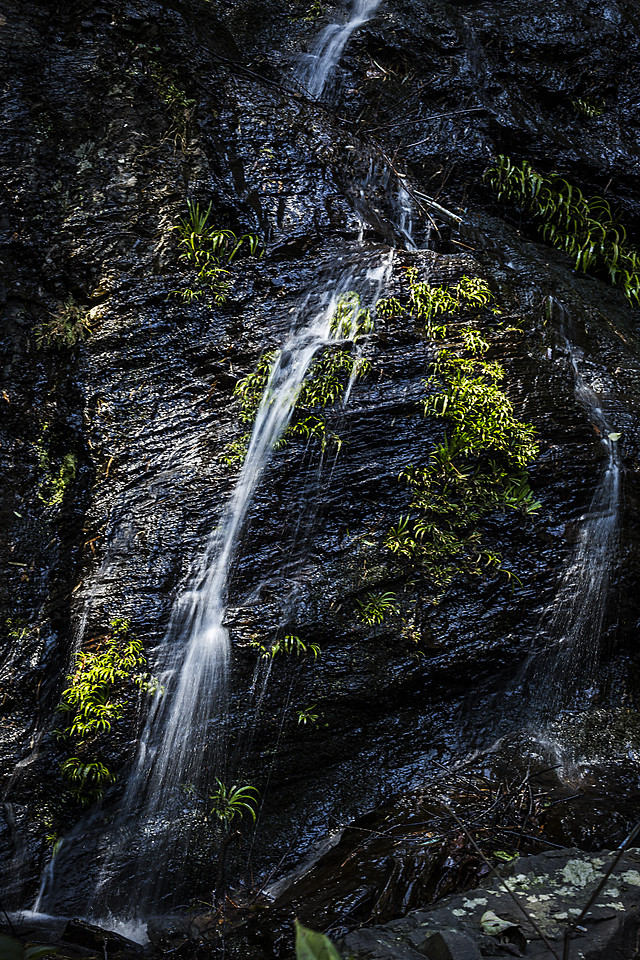 waterfall-nature-water-wood-rock 图片素材