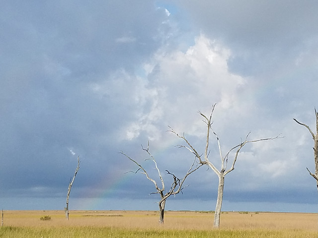 nature-landscape-sky-wind-no-person 图片素材