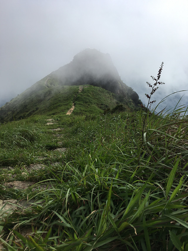 landscape-no-person-fog-grass-nature 图片素材