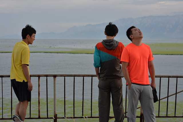 togetherness-leisure-man-love-recreation 图片素材