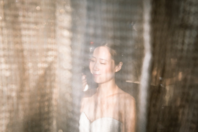 photograph-photography-sunlight-tree-temple 图片素材