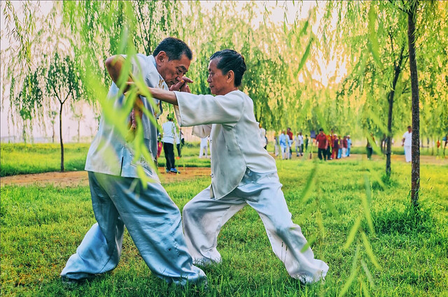 grass-people-nature-green-park 图片素材