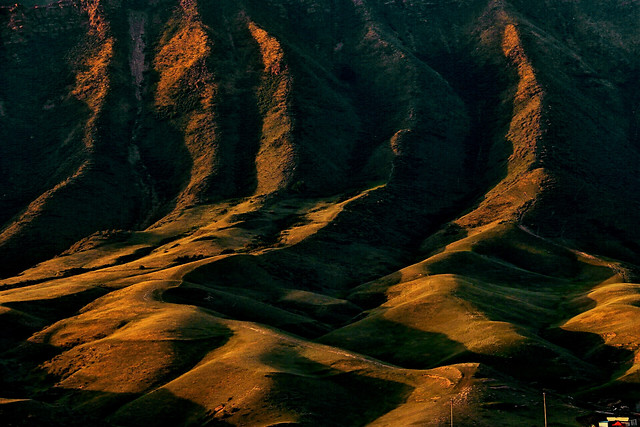 nature-rock-landscape-tree-canyon picture material