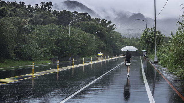 rain-water-bridge-road-tree 图片素材