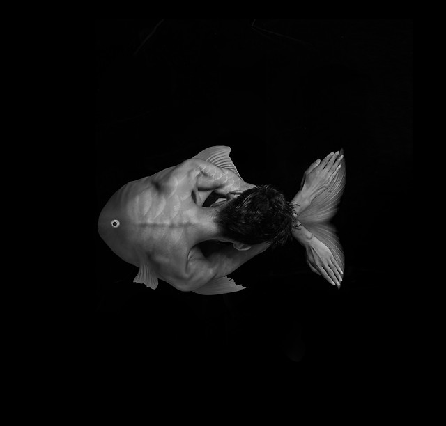 people-one-monochrome-fish-adult 图片素材