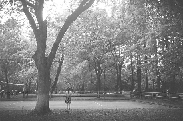tree-road-park-landscape-white 图片素材