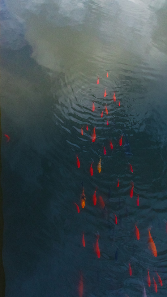 water-no-person-red-people-reflection 图片素材