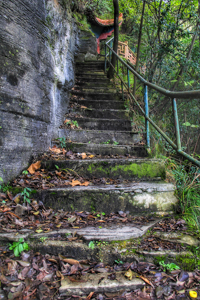 step-wood-nature-leaf-guidance 图片素材