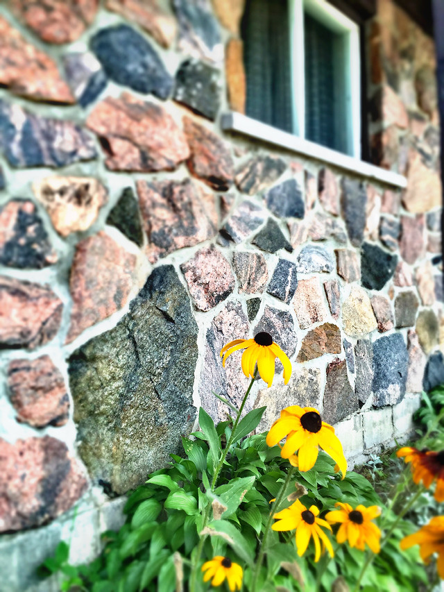 no-person-nature-desktop-wall-summer 图片素材