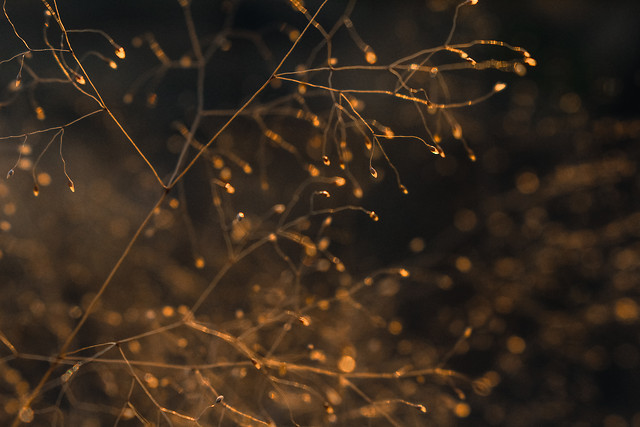 abstract-winter-desktop-color-dark picture material