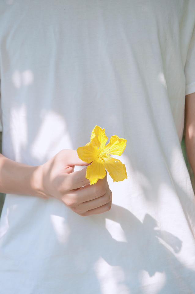 flower-indoors-yellow-blur-woman 图片素材