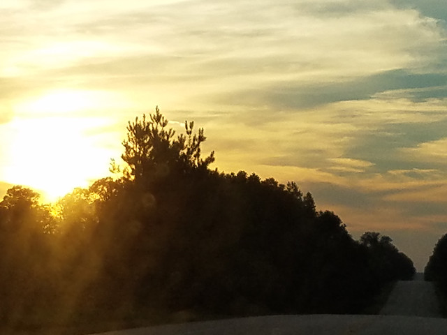sunset-no-person-dawn-landscape-tree 图片素材