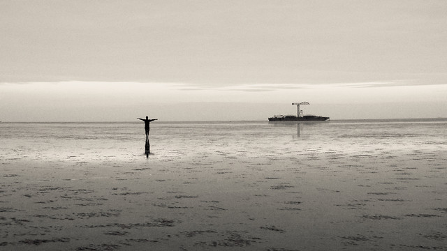 beach-water-sea-ocean-fisherman picture material