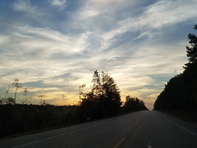 road-landscape-tree-sky-light 图片素材