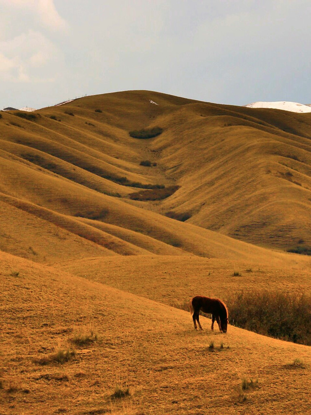 hill-sky-landscape-sand-desert 图片素材
