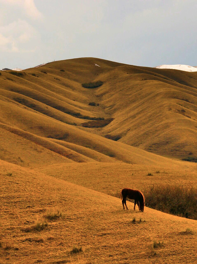 hill-sky-landscape-sand-desert picture material