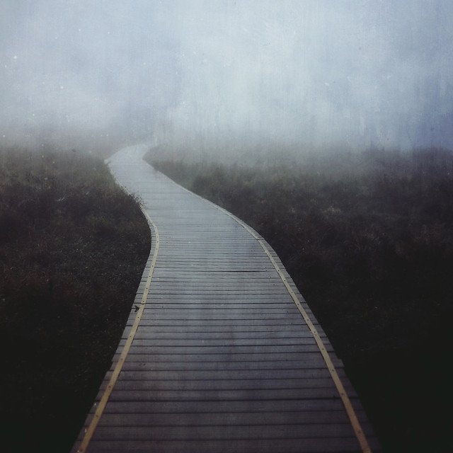 landscape-no-person-fog-road-travel 图片素材