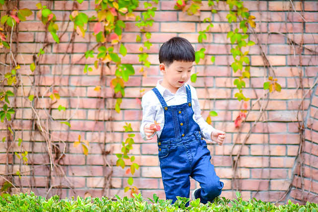 child-outdoors-little-park-people picture material