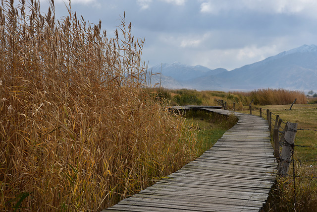 landscape-nature-fall-no-person-wood picture material