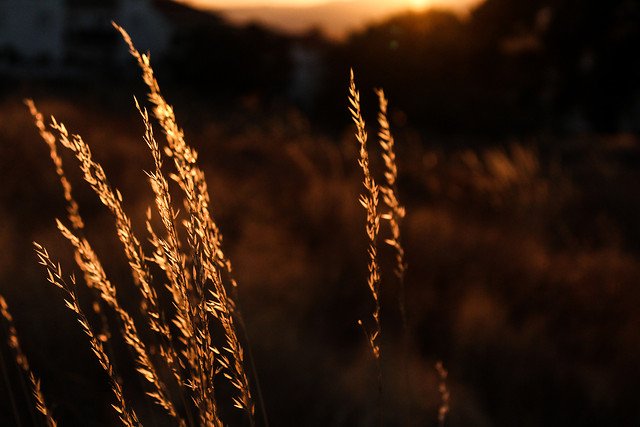 no-person-sunset-nature-outdoors-sun 图片素材