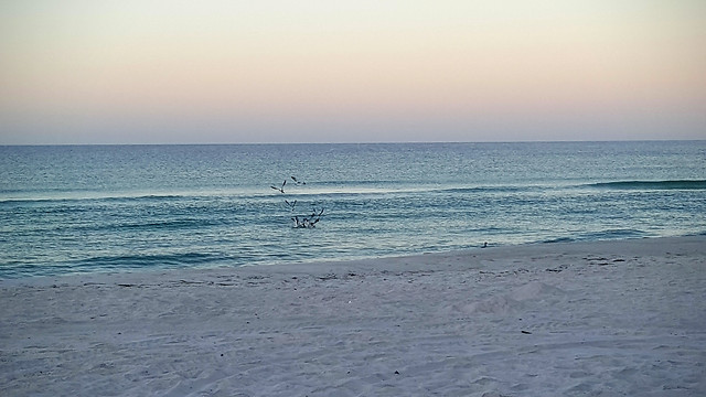 water-beach-sea-ocean-landscape 图片素材