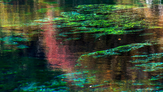 abstract-texture-reflection-water-green 图片素材