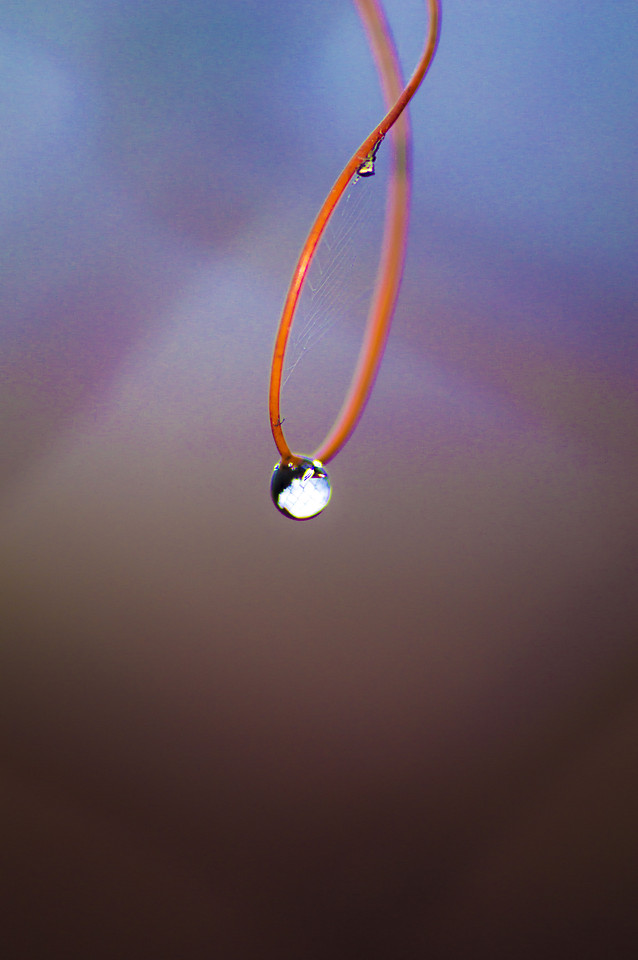 no-person-blur-abstract-art-nature picture material