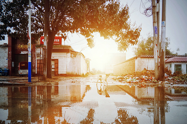 reflection-water-house-building-street 图片素材