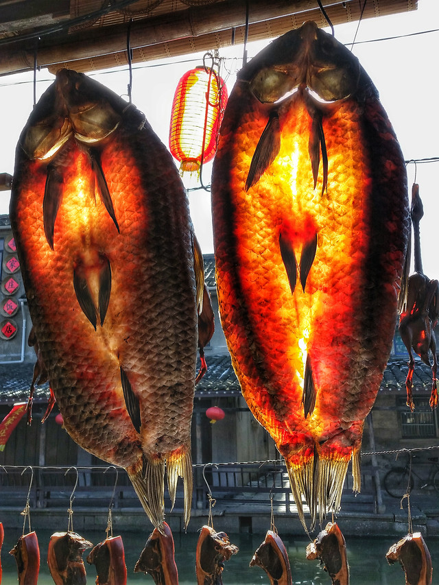 fish-people-seafood-flame-food picture material