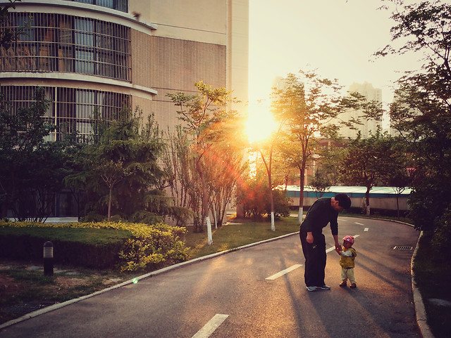 road-street-tree-people-city 图片素材