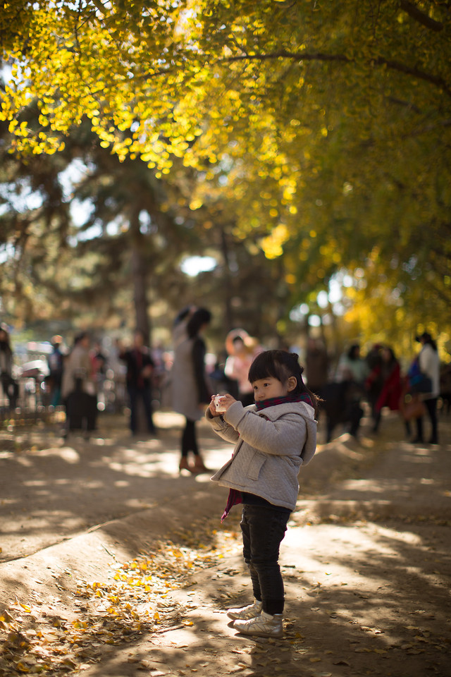 fall-people-child-girl-park picture material