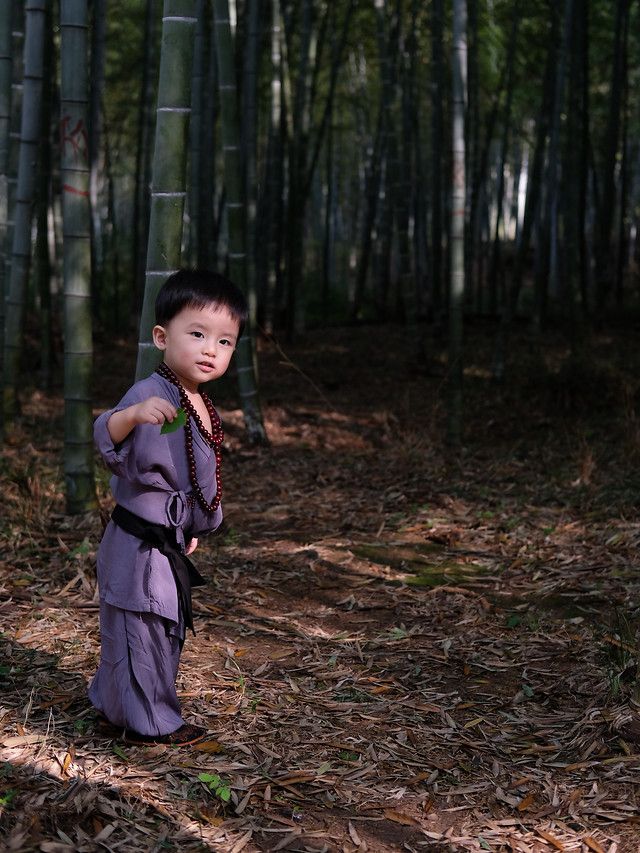 child-wood-tree-fall-people 图片素材