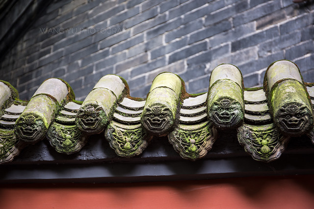 desktop-food-green-no-person-closeup 图片素材